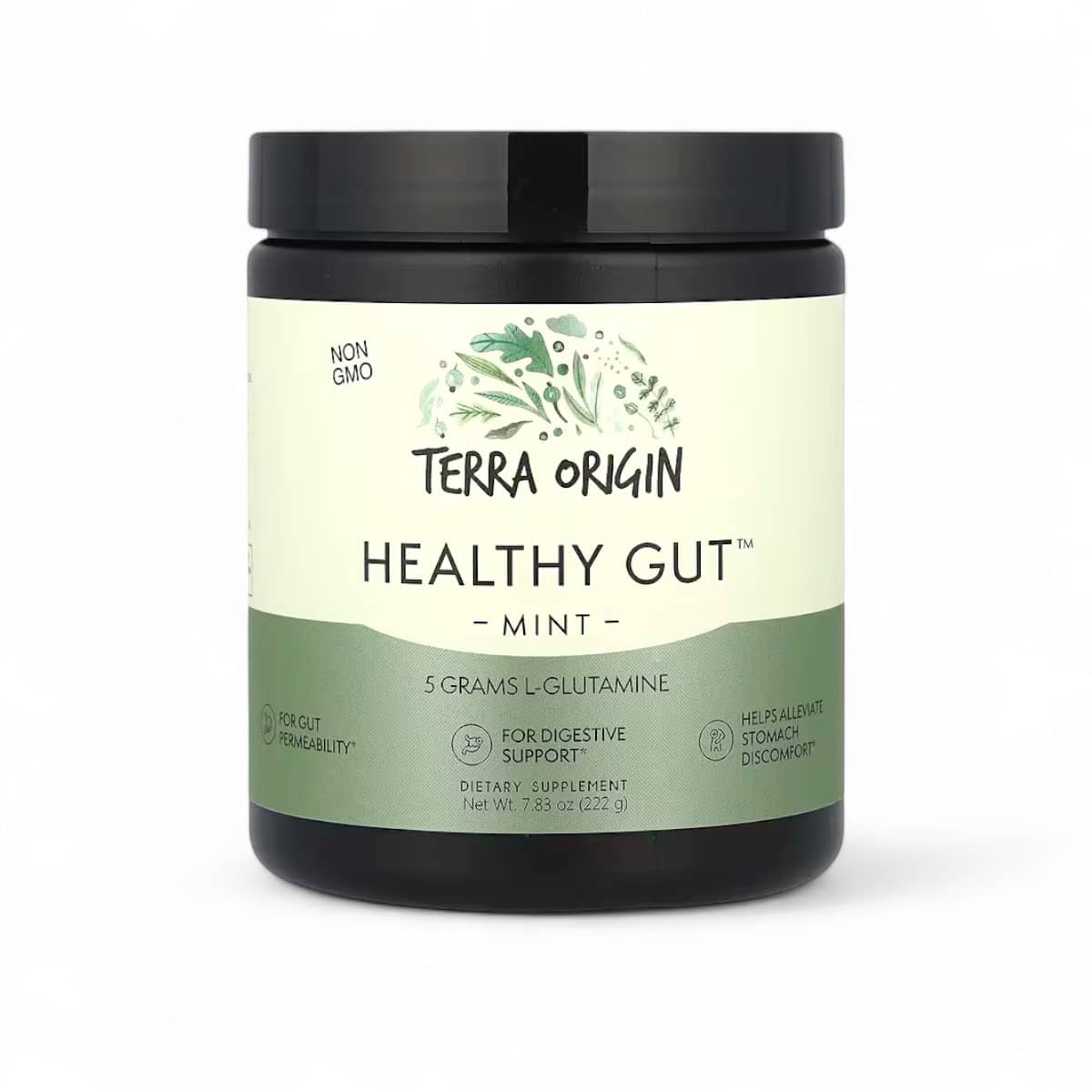 Terra Origin, Healthy Gut™, Mint, 7.83 oz (222 g) 1