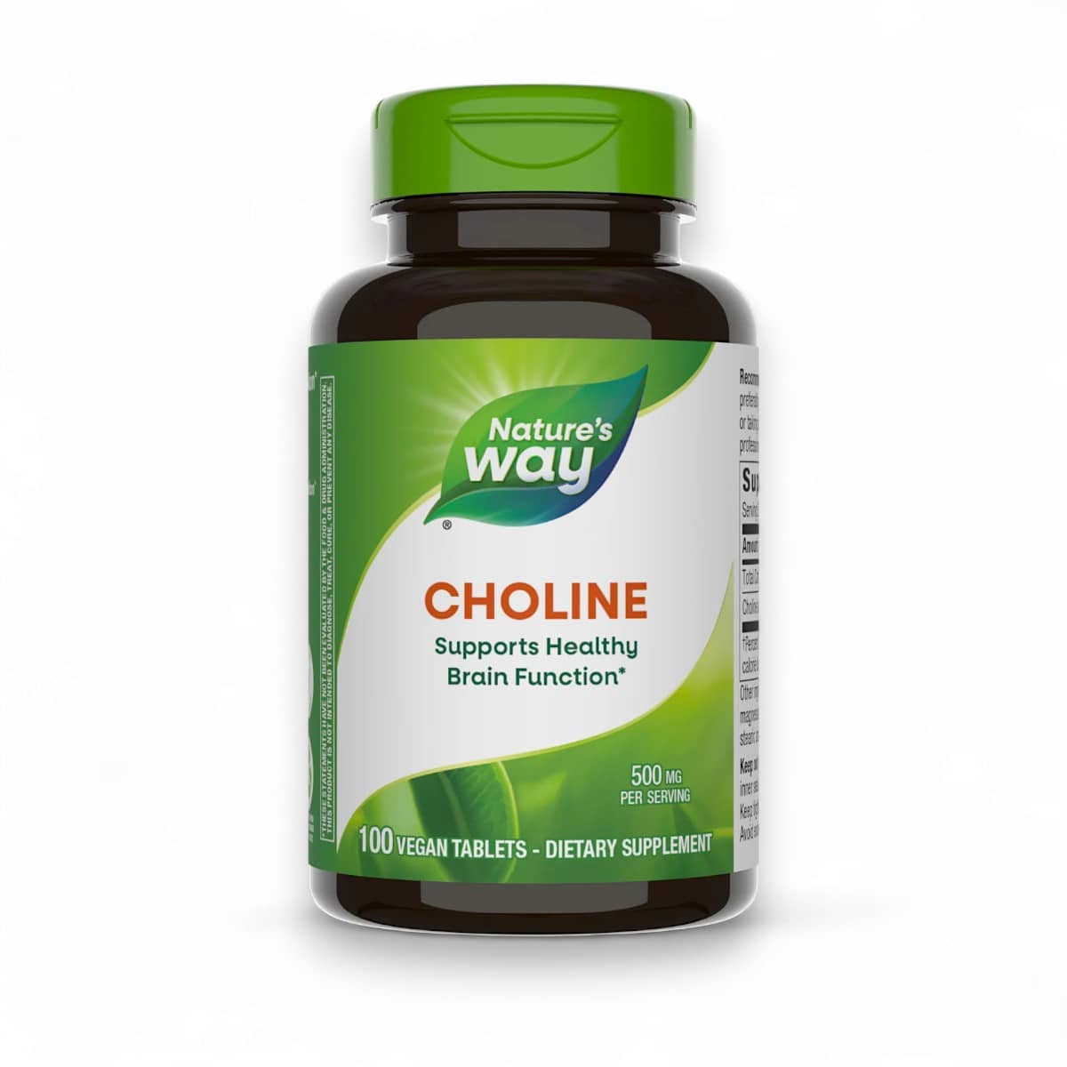 Nature's Way, Choline, 500 mg, 100 Vegan Tablets 1