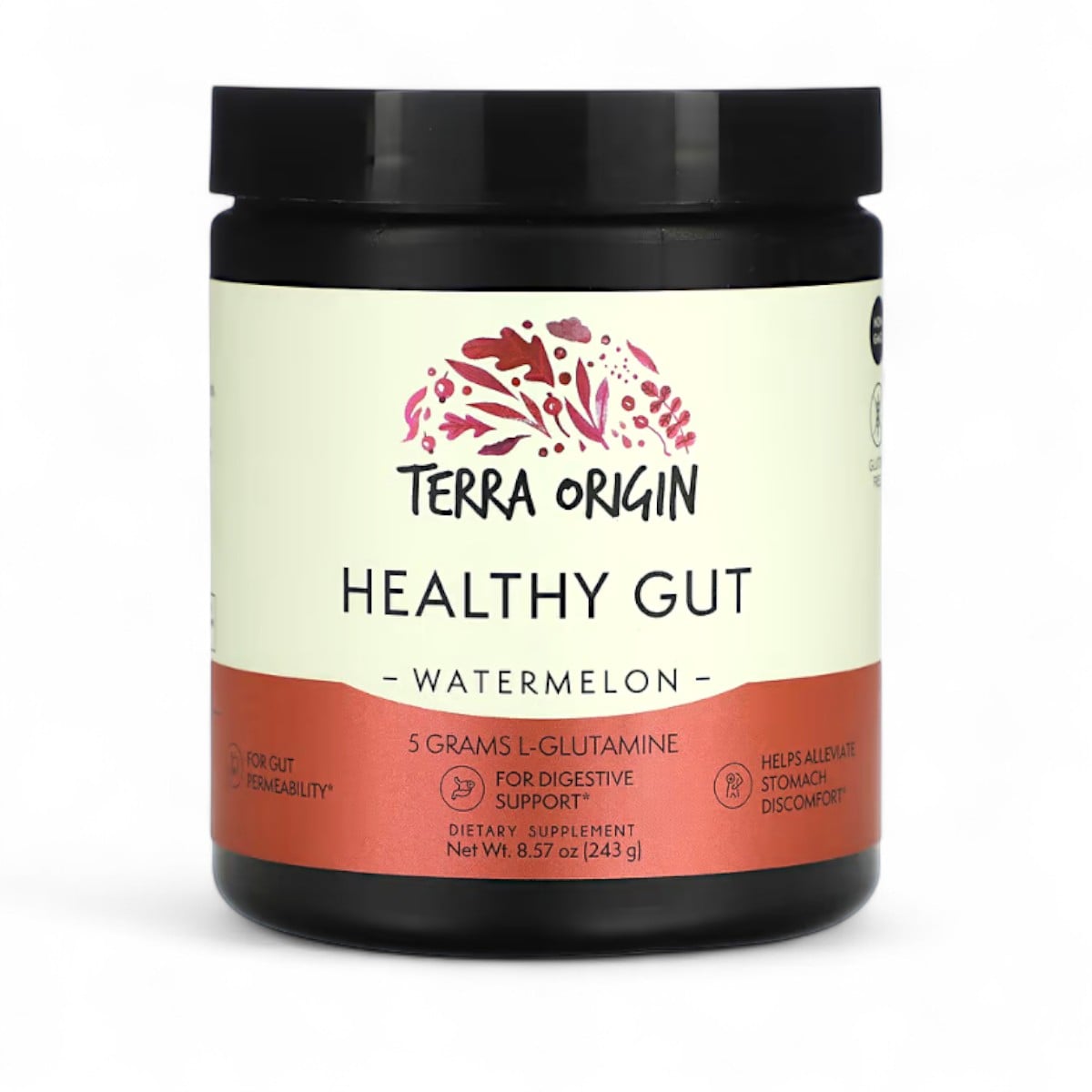 Terra Origin, Healthy Gut, Watermelon, 8.57 oz (243 g)