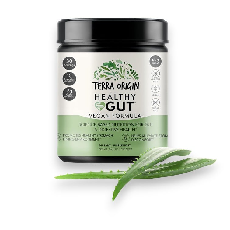 Terra Origin, Healthy Gut™, Vegan Formula, 8.7 oz (246.6 g)
