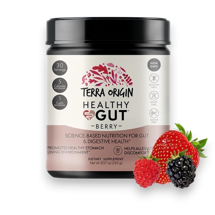 Terra Origin, Healthy Gut™, Berry, 8.57 oz (243 g)