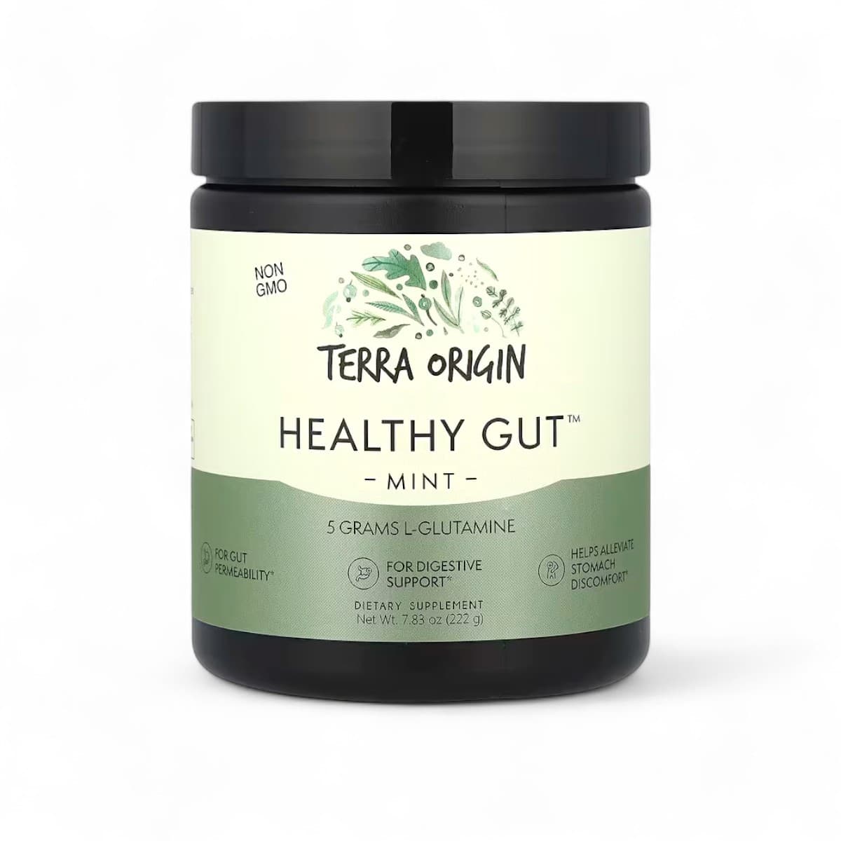Terra Origin, Healthy Gut™, Mint, 7.83 oz (222 g)