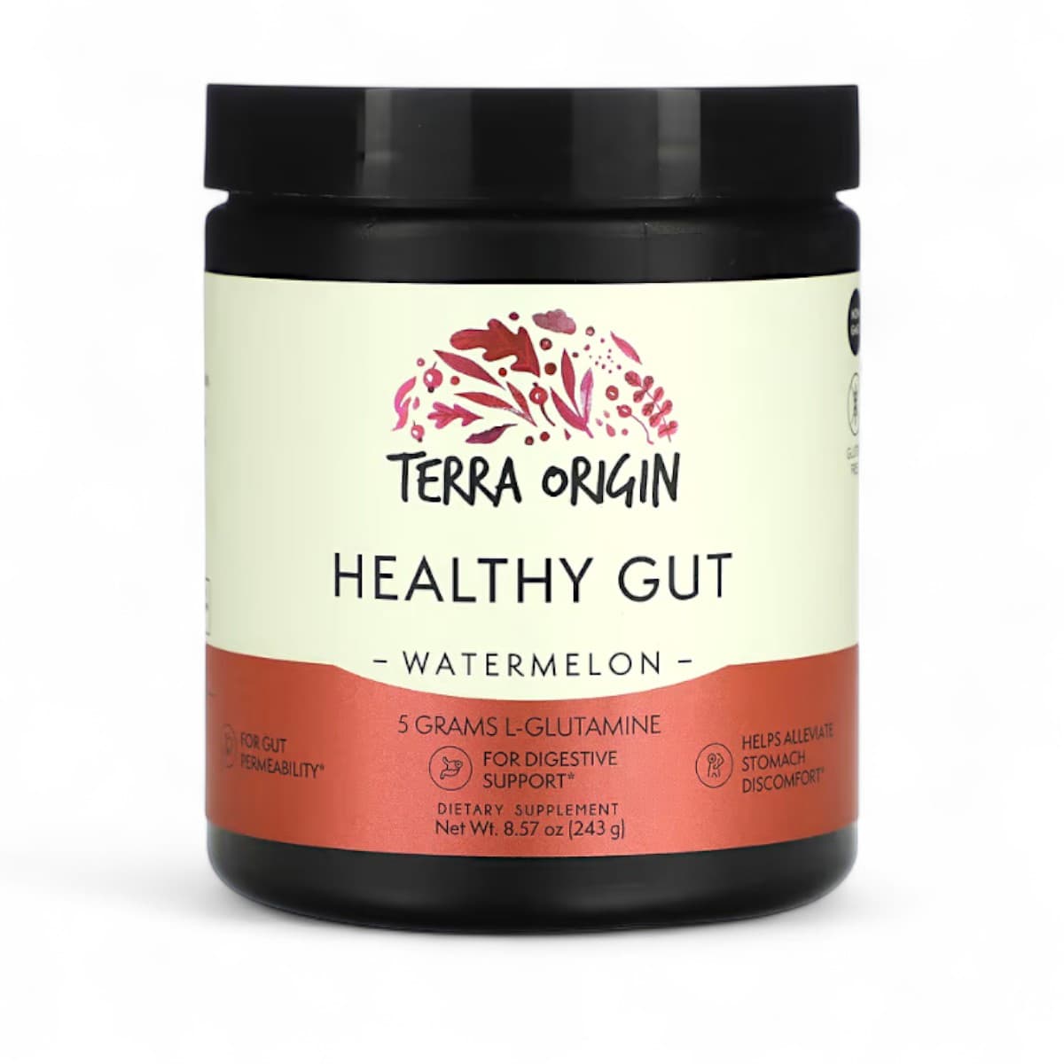 Terra Origin, Healthy Gut, Watermelon, 8.57 oz (243 g)