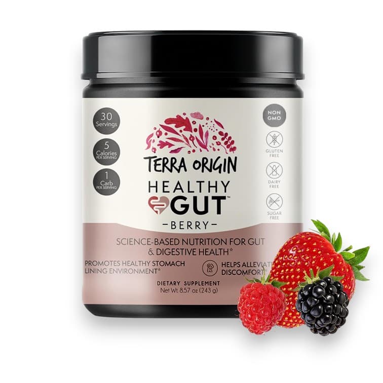 Terra Origin, Healthy Gut™, Berry, 8.57 oz (243 g)